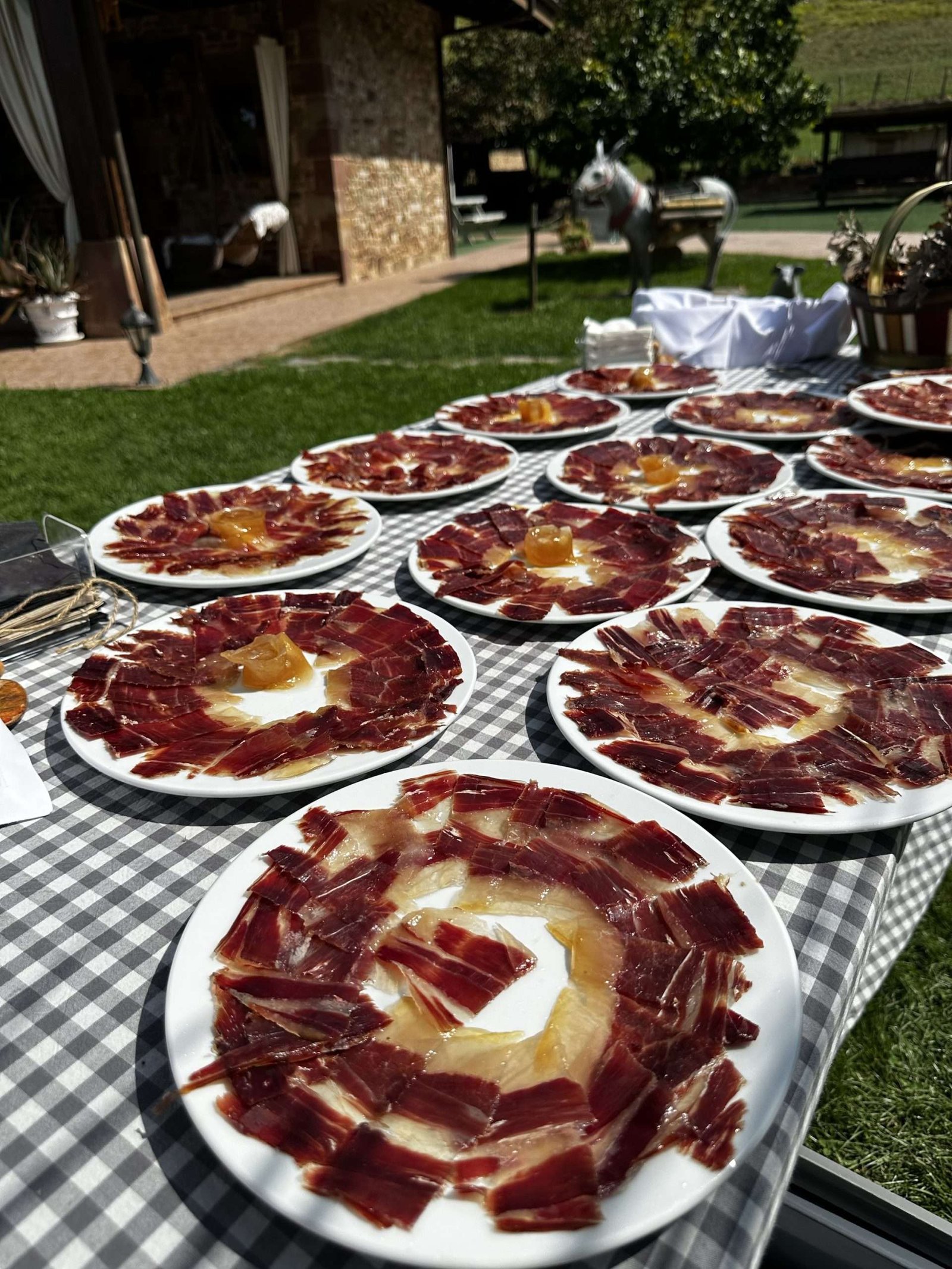 Jamon bellota 100% cortado a cuchillo 100gr