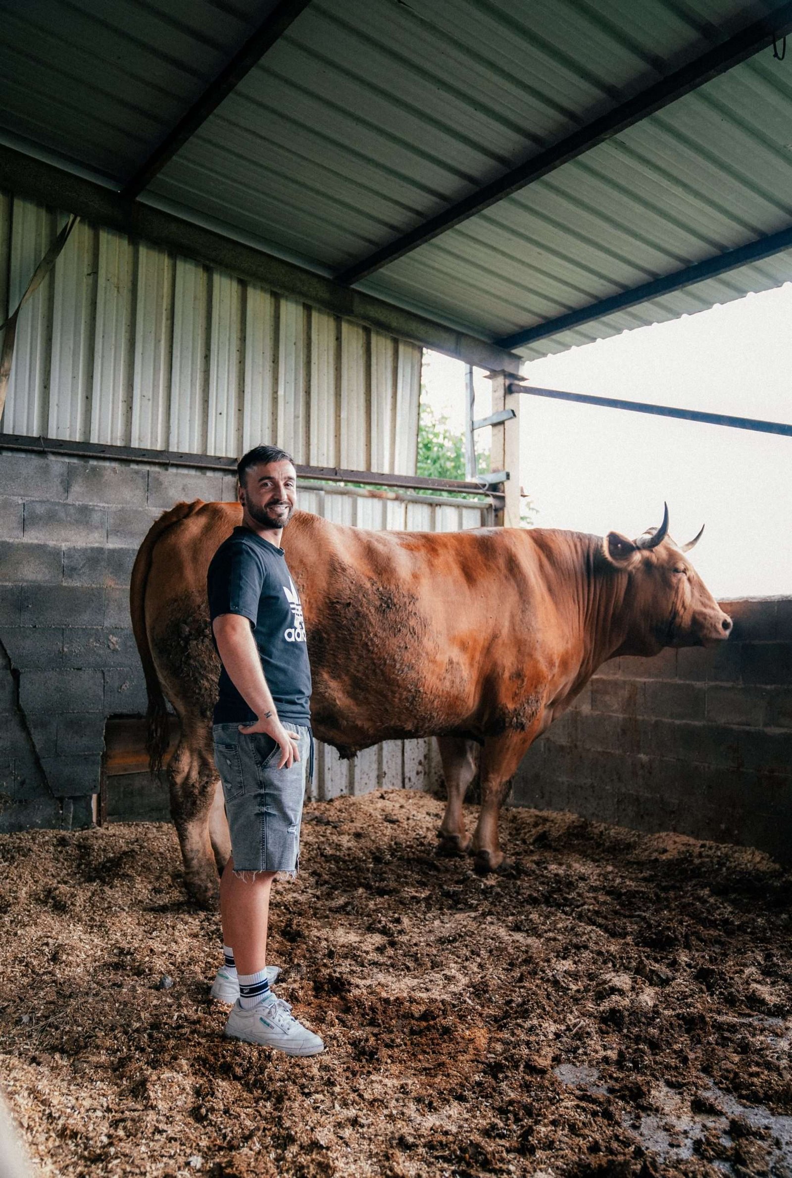 Burger de BUEY CERTIFICADO (incluye DIB) - Imagen 4