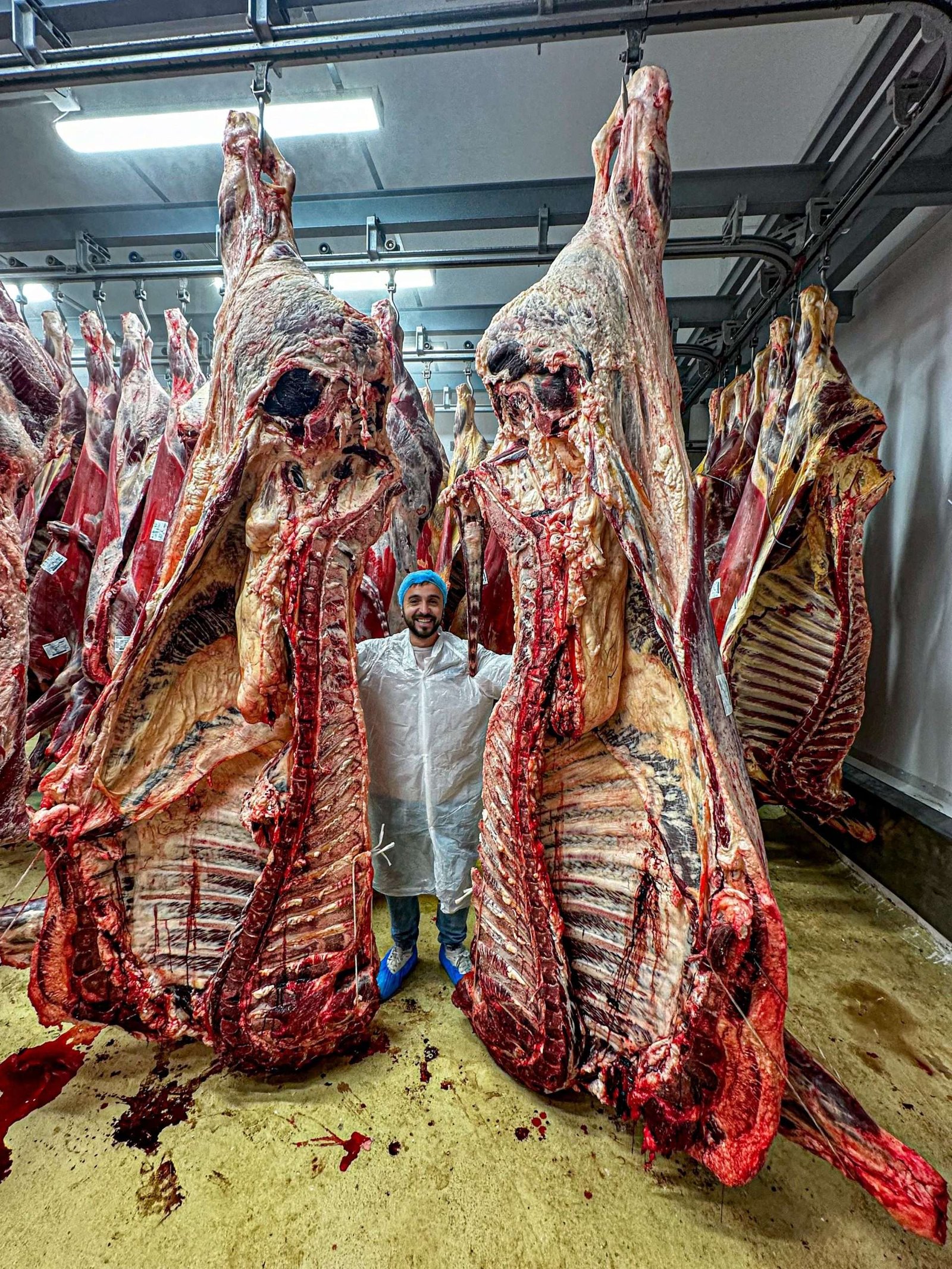 Burger de BUEY CERTIFICADO (incluye DIB) - Imagen 3